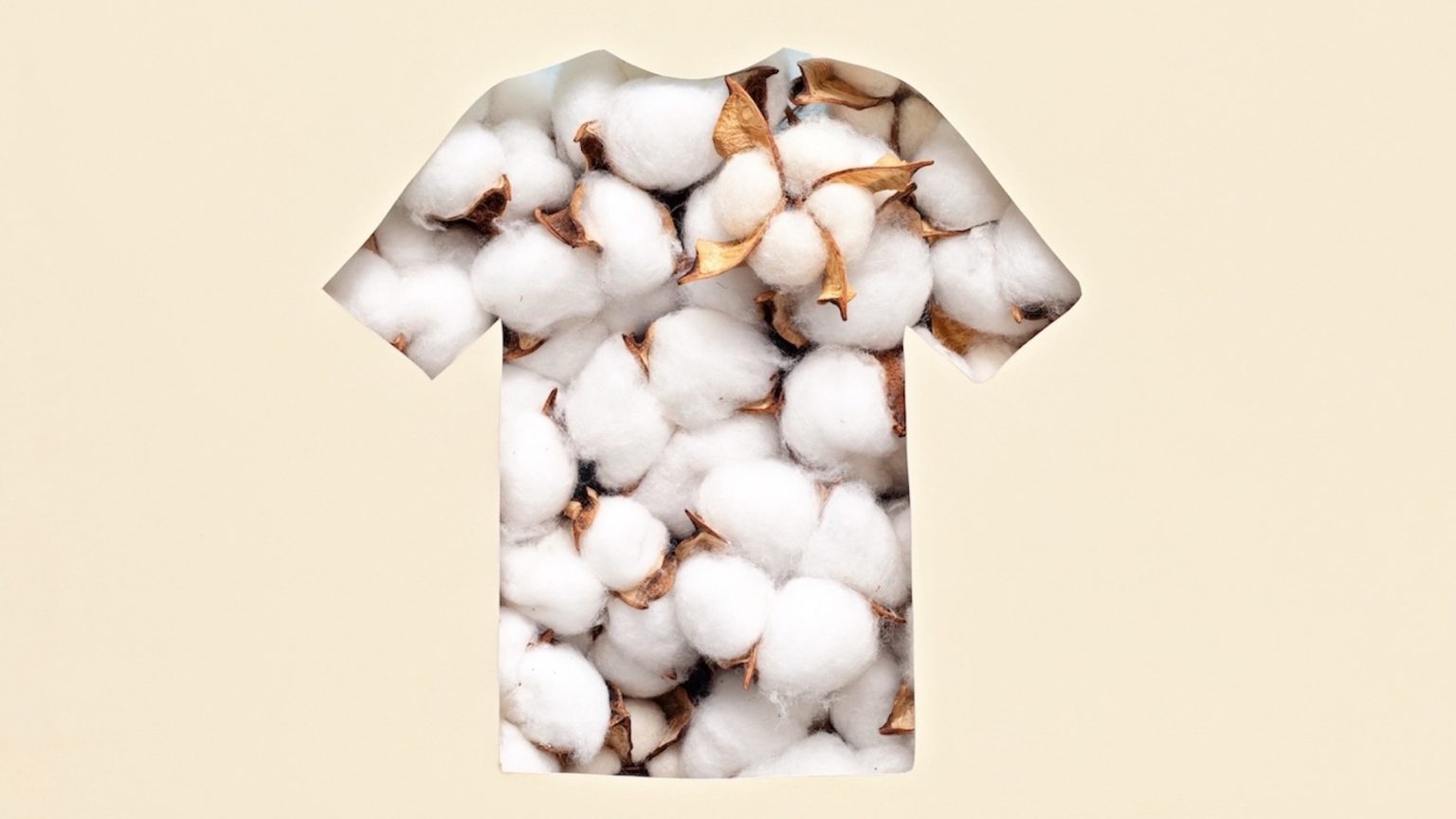 Paper cut t-shirt shape filled with cotton flowers. Organic cotton production, sustainable, ethical shopping, slow, circular fashion concept