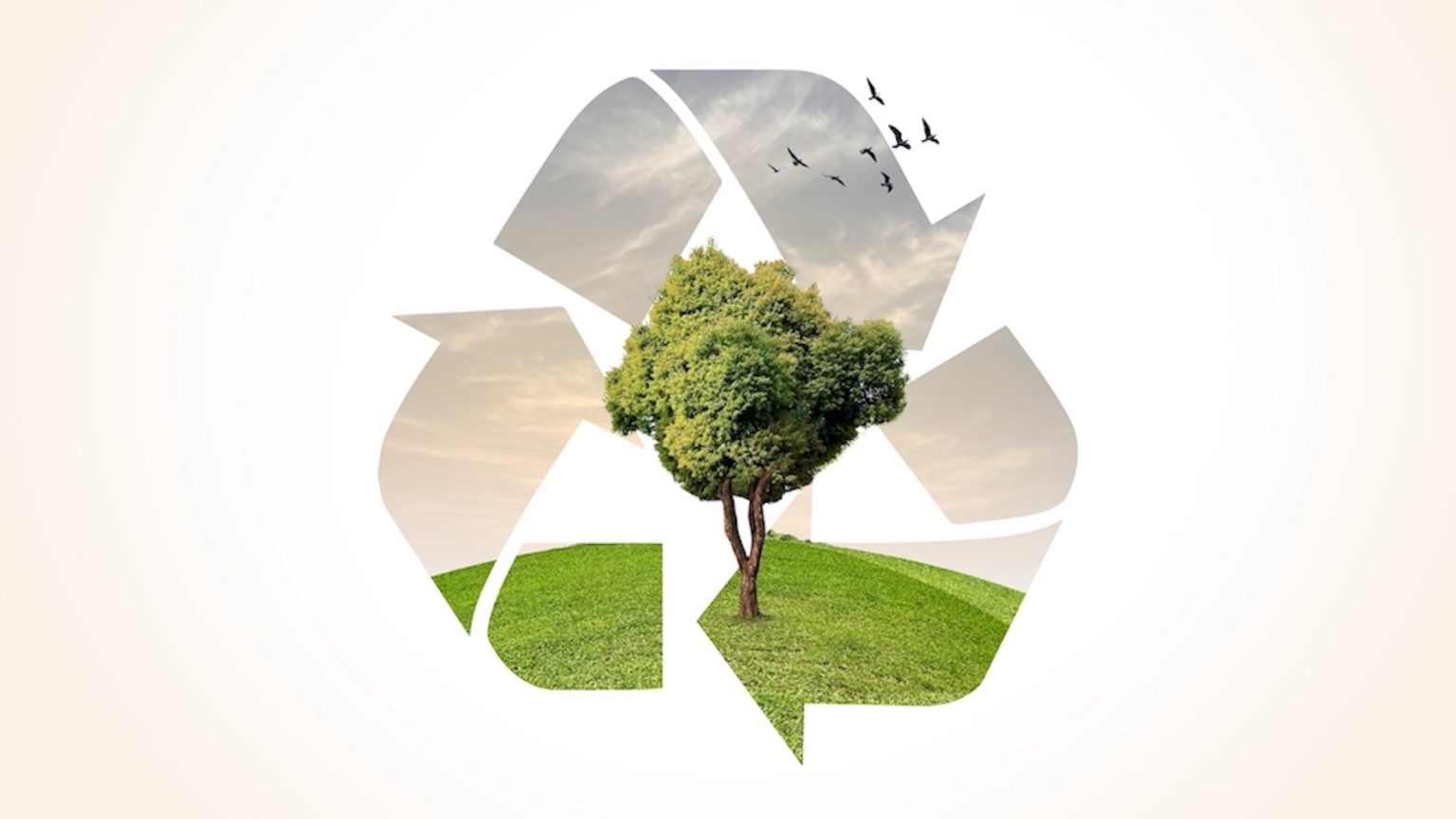 Ecosystem Restoration, environment day concept 3d tree background. Recycle icon paper cut banner with green forest. Eco-friendly recycling symbol, Ecology project concept.